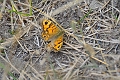 15 08 13_6995_edited-1